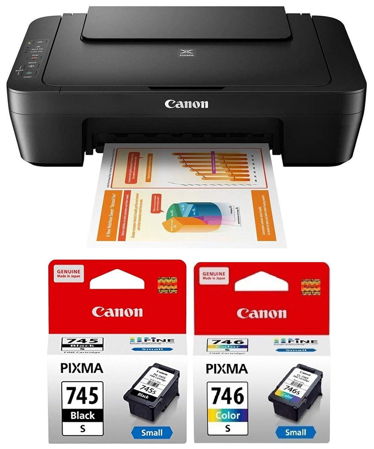 Canon Pixma MG2570S Printer (PG745/CL746)